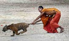 ಅಬ್ಬಾ ಆಕರ್ಷಕ ಸಾಹಸ ಚಿತ್ರಗಳ ನೋಟ