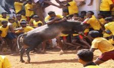 ಮೋಜಿನೊಂದಿಗೆ ಗಂಭೀರತೆಯ ಸೊಗಸು