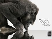 ಖರೀದಿಸಿ ಸ್ಕ್ರಾಚೇ ಆಗದ ಟಾಪ್ 10 ಗೋರಿಲ್ಲಾ ಗ್ಲಾಸ್ ಫೋನ್ಸ್