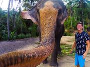 ಕೊನೆಗೂ ಆನೆಗೂ ಬಂತು ಸೆಲ್ಫಿ ಜ್ವರ