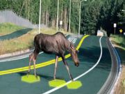 ನಿಮ್ಮನ್ನು ಸ್ಮಾರ್ಟ್ ಆಗಿಸುವ ಟಾಪ್ 10 ಟೆಕ್ ಉತ್ಪನ್ನಗಳು