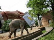 ಮೋಡಿ ಮಾಡುವ ಐಫೋನ್ ಚಮತ್ಕಾರ