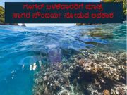 ಗೂಗಲ್‌ ಬಳಕೆದಾರರಿಗೆ ಮಾತ್ರ ಸಾಗರ ಸೌಂದರ್ಯ ನೋಡುವ ಅವಕಾಶ