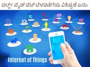 ವರ್ಲ್ಡ್ ವೈಡ್‌ ವೆಬ್‌ ಬೆಳವಣಿಗೆಯ ವಿಶಿಷ್ಟತೆ ಏನು?