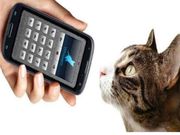 ಬೆಕ್ಕಿನ ಮಾತು ತಿಳಿಸಿಕೊಡುವ ಕ್ಯಾಟ್ ಟ್ರಾನ್ಸ್‌ಲೇಟರ್