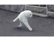 ಪ್ರಪಂಚದ ಆಕಸ್ಮಿಕ ಅಚ್ಚರಿಗಳು ಗೂಗಲ್‌ ಕ್ಯಾಮೆರಾದಲ್ಲಿ