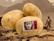 ಮಂಗಳದ ನೆಲದಲ್ಲಿ ಆಲೂಗಡ್ಡೆ ಕೃಷಿ