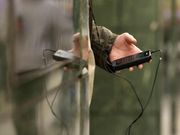 ಸ್ಮಾರ್ಟ್‌ಫೋನ್‌ಗೆ ಉಳಿಗಾಲವಿಲ್ಲ ಹಾಗಾದ್ರೆ ಮುಂದಿನ ಗತಿ!!!