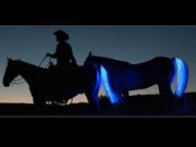 ಅಪಘಾತದಿಂದ ಪ್ರಾಣ ಉಳಿಸಲು 'ಟೇಲ್‌ ಲೈಟ್‌ ರೈಡರ್‌'