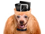 90% ಸ್ಮಾರ್ಟ್‌ಫೋನ್‌ ಬಳಕೆದಾರರಿಗೆ ಫ್ಯಾಂಟಮ್‌ ರೋಗ