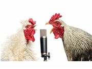 ಪ್ರಾಣಿಗಳ ಧ್ವನಿ ಕಲಿಸಲು ಹೊಸ ಫೀಚರ್‌ ಬಿಡುಗಡೆ ಮಾಡಿದ ಗೂಗಲ್‌