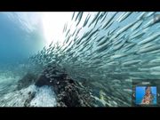 ಸಾಗರ ತಳದ ರಹಸ್ಯ ಬಿಚ್ಚಿಟ್ಟ ಗೂಗಲ್ ಸ್ಟ್ರೀಟ್ ವ್ಯೂ ಕ್ಯಾಮೆರಾ