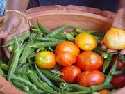 ಕೂಲ್ ಕೂಲ್ ತಂಪಾಗಿರುವ ಮಡಿಕೆ ಫ್ರಿಡ್ಜ್ ನೀವು ತಯಾರಿಸಿ