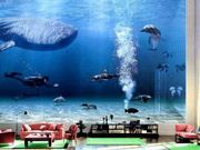 ಪ್ರತಿಯೊಬ್ಬರನ್ನು ನಿಬ್ಬೆರಗಾಗಿಸುವ 'ಬಿಲ್‌ ಗೇಟ್ಸ್‌' ಮನೆ ಹೇಗಿದೆ ಗೊತ್ತಾ?