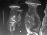 ಪರಿಹಾರವನ್ನೇ ಕಾಣದ ಜಗತ್ತಿನ ರಹಸ್ಯಗಳು