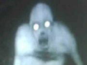 ಸಾಮಾನ್ಯ ಸಂಗತಿಗಳಾಗಿದ್ದರೂ ಇವುಗಳಿನ್ನೂ ರಹಸ್ಯಮಯ