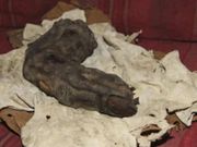 ಅನ್ವೇಷಣೆಯ ಹಾದಿಯಲ್ಲಿರುವ ಟಾಪ್ 20 ವಿಶ್ವರಹಸ್ಯಗಳು