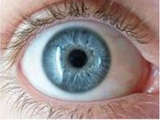 ಲೈಫ್ ಟೈಮ್‌ ಕನ್ನಡಕದ ಬದಲು ಕಣ್ಣಿಗೆ ಸುರಕ್ಷೆ 'ಬಯೋನಿಕ್‌ ಲೆನ್ಸ್‌'ನಿಂದ!