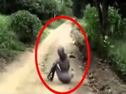 ಏಲಿಯನ್‌ಗಳು ಇದ್ದುದು ಹೌದು! ದೃಢೀಕರಿಸುವ ಅಂಶಗಳು