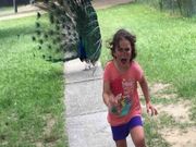 ನವಿಲಿಗೆ ಹೆದರಿದ ಬಾಲಕಿಯನ್ನು ಫೇಮಸ್ ಮಾಡಿದ ಇಂಟರ್ನೆಟ್!!!