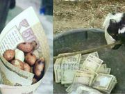 500, 1000 ರೂ ನೋಟುಗಳ ಬ್ಯಾನ್: ಸಾಮಾಜಿಕ ತಾಣದಲ್ಲಿ ಹೀಗೆಲ್ಲಾ ಆಗೋಯ್ತು!