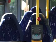 ಈ ಫೋಟೋದಲ್ಲಿರುವುದೇನು..? ನೀವು ಕಾಣುತ್ತಿರುವುದು ಸುಳ್ಳು!