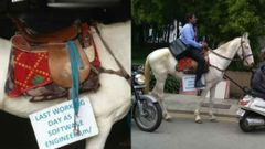 ಕೊನೆ ದಿನ ಕೆಲಸಕ್ಕೆ ಕುದುರೆ ಏರಿ ಬಂದ ಸಾಫ್ಟ್ ವೇರ್ ಇಂಜಿನಿಯರ್..!