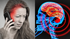 ಮೊಬೈಲ್ ಬಗ್ಗೆ ಸಾರ್ವಜನಿಕ ಅರ್ಜಿ!..ಜನರ ತಲೆಕೆಡಿಸಿದ ಕೋರ್ಟ್ ನಿರ್ದೇಶನ!!