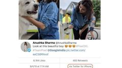 ಗೂಗಲ್‌ ಪಿಕ್ಸಲ್ ಫೋನಿನಲ್ಲಿ ಫೋಟೋ ತೆಗೆದು ಐಫೋನ್‌ನಲ್ಲಿ ಟ್ವಿಟ್..!