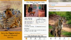 ವನ್ಯಜೀವಿ ಜಗತ್ತು ತಿಳಿಯಲು ಅಂಗೈಯಲ್ಲಿ ಈ ಆಪ್‌ಗಳು ಇದ್ದರೆ ಸಾಕು..!