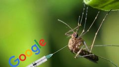 ಭೂಮಿಯಲ್ಲಿ ಸೊಳ್ಳೆಗಳೇ ಇಲ್ಲದಂತೆ ಮಾಡಲು ಹೊರಟ ಗೂಗಲ್ !