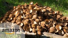 ತೆಂಗಿನ ಕಾಯಿ ಚಿಪ್ಪಿಗೆ 1400 ರುಪಾಯಿ! ಭಾರತೀಯರಿಗೆ ಶಾಕ್ ನೀಡಿದ ಅಮೇಜಾನ್