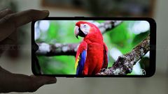 'ಒಪ್ಪೊ A5s'; ಸದ್ಯ ಮಾರುಕಟ್ಟೆಯಲ್ಲಿ ಬೆಸ್ಟ್‌ ಬಜೆಟ್‌ ಸ್ಮಾರ್ಟ್‌ಫೋನ್!