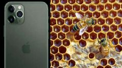 ಆಪಲ್‌ನ ಒಂದು ಸಣ್ಣ ಮಿಸ್ಟೇಕ್ 'ಐಫೋನ್‌ 11' ಬಗ್ಗೆ ಭಯ ಹುಟ್ಟಿಸುತ್ತಿದೆ!..ಏಕೆ?