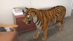 ಗೂಗಲ್‌ನಲ್ಲಿ ಪ್ರಾಣಿಯ ಹೆಸರನ್ನು ಸರ್ಚ್ ಮಾಡಿ, ಆಮೇಲೆ ನೋಡಿ ಮ್ಯಾಜಿಕ್!