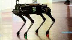 ಹ್ಯಾಂಡ್‌ ಸ್ಯಾನಿಟೈಸರ್‌ ನೀಡೋಕೆ ಬಂತು ರೋಬೋಟ್‌ ಡಾಗ್‌!