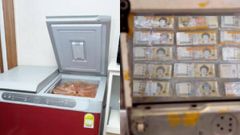 ಆನ್‌ಲೈನ್‌ನಲ್ಲಿ ಫ್ರಿಜ್‌ ಖರೀದಿಸಿದ ವ್ಯಕ್ತಿಗೆ ಕಾದಿತ್ತು ಅಚ್ಚರಿ; ಕೈ ಸೇರಿತು ಲಕ್ಷ ಹಣ!