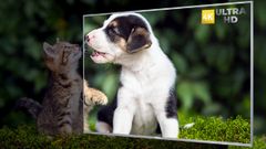 ಲಾಯ್ಡ್‌ ಕಂಪೆನಿಯ ಹೊಸ ಸ್ಮಾರ್ಟ್‌ಟಿವಿ ಸರಣಿ ಬಿಡುಗಡೆ! ಬೆಲೆ ಎಷ್ಟು?.ಫೀಚರ್ಸ್‌ ಹೇಗಿದೆ?