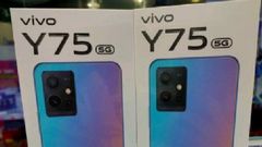 ಇಂದೇ ಖರೀದಿಸಿ ವಿವೋ Y75 ಸ್ಮಾರ್ಟ್‌ಫೋನ್‌!..ಭರ್ಜರಿ ಉಳಿತಾಯ!