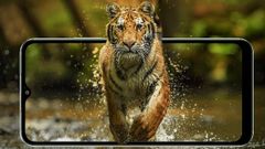 ಸೈಲೆಂಟ್‌ ಆಗಿ ಎಂಟ್ರಿ ಕೊಟ್ಟ ಲಾವಾ ಯುವ 2 ಪ್ರೊ! ವಿದ್ಯಾರ್ಥಿಗಳಿಗೆ ಭರ್ಜರಿ ಆಫರ್‌!