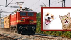 IRCTC ಯಲ್ಲಿ ಶೀಘ್ರದಲ್ಲೇ ಸಾಕು ಪ್ರಾಣಿಗಳಿಗೂ ಟಿಕೆಟ್‌ ಬುಕಿಂಗ್‌ ಮಾಡಬಹುದು! ಷರತ್ತುಗಳು ಅನ್ವಯ
