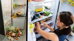 Fridge Maintenance Tips: ಫ್ರಿಡ್ಜ್ ಯಾವಾಗಲೂ ಆನ್ ಆಗಿಯೇ ಇರಬೇಕೆ? ಆಫ್‌ ಮಾಡಿದ್ರೆ ಏನಾಗುತ್ತೆ?