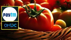 Paytm, ONDC ಮೂಲಕ ಅರ್ಧ ಬೆಲೆಗೆ ಟೊಮೆಟೊ: ಆನ್‌ಲೈನ್‌ನಲ್ಲಿ ಆರ್ಡರ್ ಆಯ್ಕೆ, ಆದರೆ..
