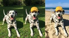 ಗೂಗಲ್ ಜೆಮಿನಿಯಲ್ಲಿ ಹೊಸ ಫೀಚರ್: ಈಗ ಫೋಟೋಗಳನ್ನು ಸಹ ಎಡಿಟ್ ಮಾಡಿ!