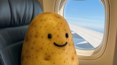 ವೈ-ಫೈ ಹೆಚ್ಚಿಸಲು ಬೋಯಿಂಗ್ ತನ್ನ ವಿಮಾನಕ್ಕೆ ಆಲೂಗಡ್ಡೆ ತುಂಬಿಸಿದ್ದು ಏಕೆ?