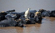 உங்களை ரசிக்க வைக்கும் கலக்கல் போட்டோக்கள்....!
