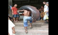 இப்படிலாம் கூடவா இருக்காங்க.... இதோ சில படங்கள்