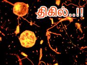 பூமிக்குள் புதையுண்டு வாழும் திகிலூட்டும் 'உச்சவிரும்பி' இனம்..!
