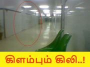 பேய் படம், இது ஒரிஜினல் பாஸ்.!!