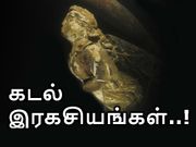 தீர்வில்லாத கடல் இரகசியங்கள்..!